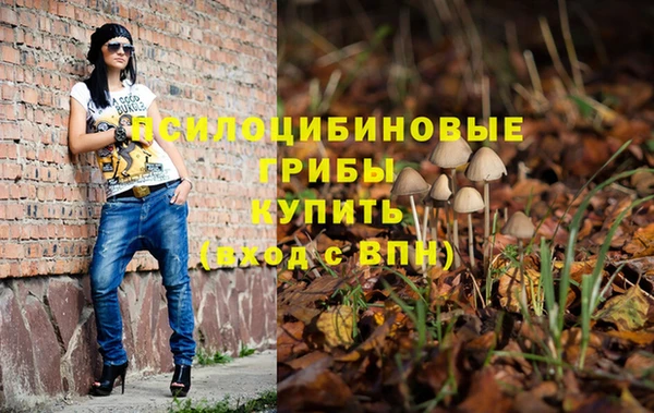 ПСИЛОЦИБИНОВЫЕ ГРИБЫ Балабаново