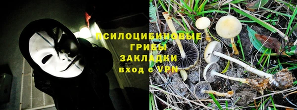 дмт Арсеньев