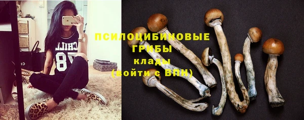 дмт Арсеньев