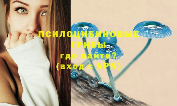 дмт Арсеньев