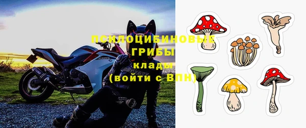 дмт Арсеньев