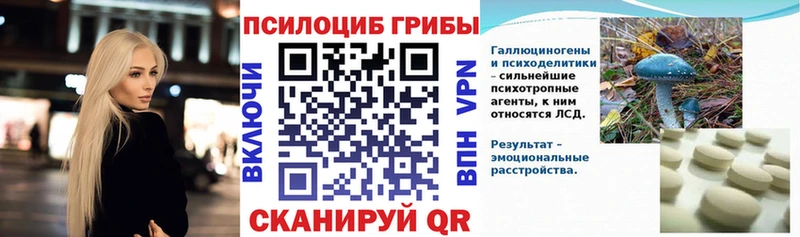 Псилоцибиновые грибы Psilocybe  kraken ССЫЛКА  Шадринск 
